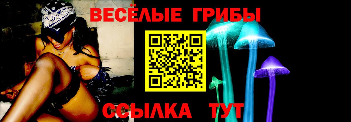 Псилоцибиновые грибы Psilocybine cubensis Майский